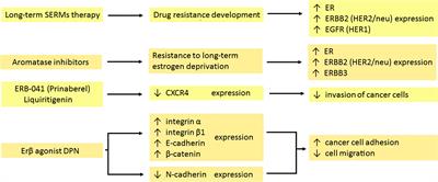 Chemotherapy and Physical Therapeutics Modulate Antigens on Cancer Cells